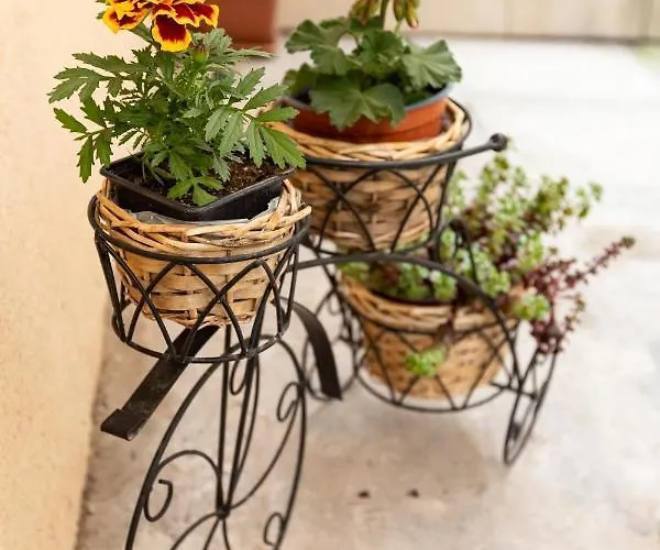 Muzsa Vendeghaz * Veszprem